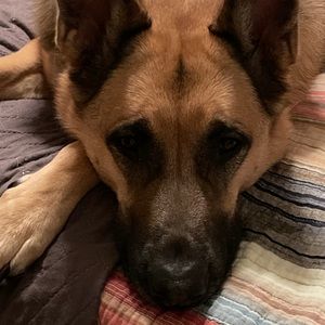 Meet your Posher, Becky